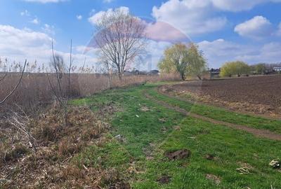 Teren agricol extravilan de 7000 mp, în Frumușani - 3