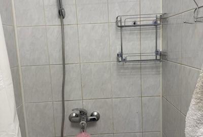 Garsonieră decomandată în Dosu Bricii - 8