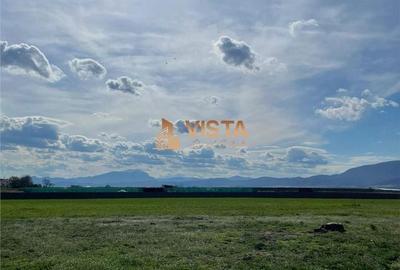 Spațiu comercial, în Stupini - 4