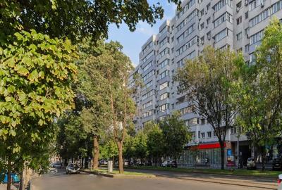 PROPRIETAR Garsoniera Piata Victoriei - Titulescu cu certificat turistic - 14