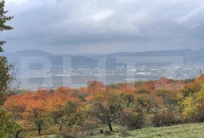 Teren de 3515 mp, în Centura - 1