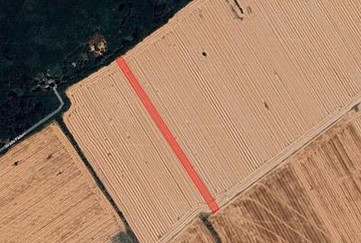 Teren intravilan Buftea 9993mp - 1