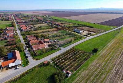 De vanzare teren cu livada in Sarbova! - 2