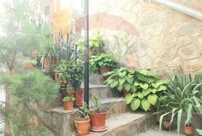 Apartament 1 camera centru acces curte - 3