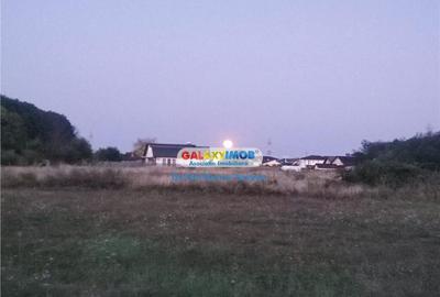 Teren de 720 mp, în Priseaca - 5