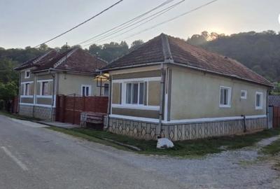 Vand casa la 50 km de Oradea - 4