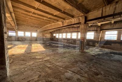 Hala industriala 800 mp, curte ?i parcare proprie, acces - 2