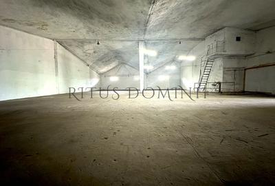 Spațiu industrial, de 524 mp, în Calea Clujului - 3