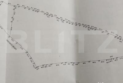 Teren de 10000 mp, în Central - 2