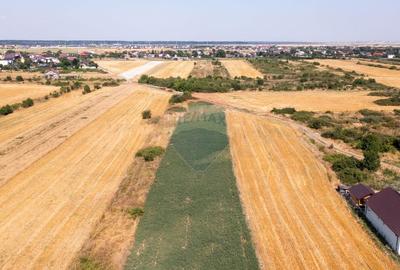 Vanzare teren intravilan 5,888 mp Sabareni / Strada sondei