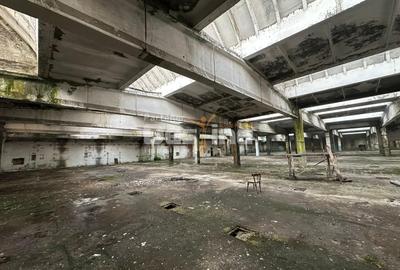 Spațiu industrial, de 19,000 mp, în Pucioasa - 7