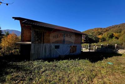 Casă individuală cu 5 camere cu Teren 2700 Mp în Alexandru cel Bun - 37