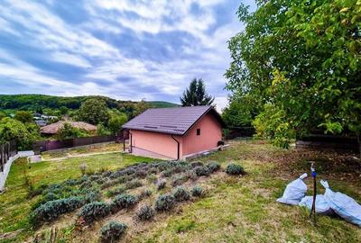 Casă cu 2 camere cu Teren 2647 Mp în Valea Mare - 11