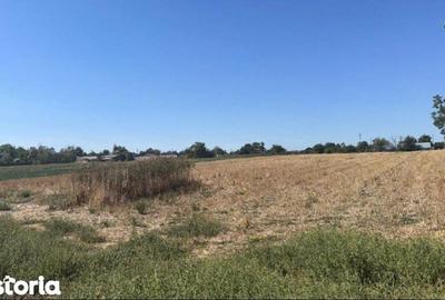 Teren de 4000 mp, în Roseți