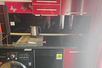 Garsonieră decomandată în Dacia - 4