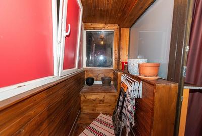 Apartament 4 camere de vanzare, vedere in parcul Plumbuita - 12