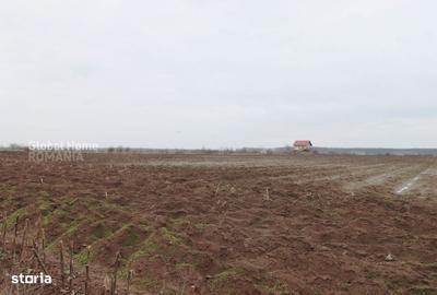 Teren de 4000 mp, în Central - 5