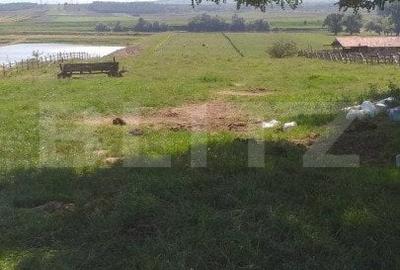 Teren partial intravilan 14800 mp, situat in loc. Paraul lui Mihai - 4