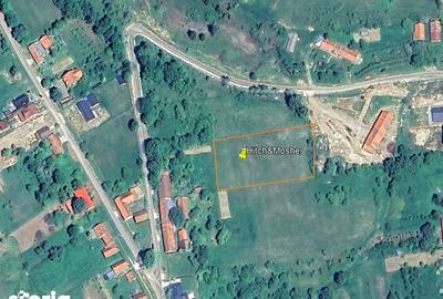 Teren de 3939 mp, în Brebu