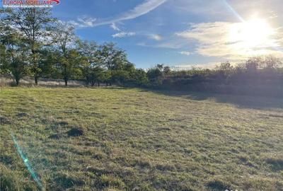 Teren în Somova - 9