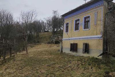 Teren de 5000 mp, în Sic