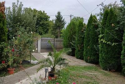 Casă cu 4 camere cu Teren 836 Mp în Ghighiu - 7