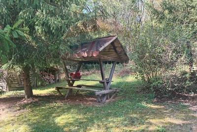 OCAZIE!!! CASA SUPERBA cu teren in JULITA jud Arad in M tii Zarandului - 58