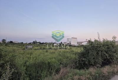 Teren  - pretabil pentru industrial - Centura -  Clinceni - 2