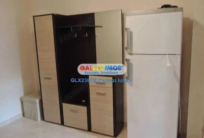 Apartament cu 2 camere decomandat, mobilat în Gorjului - 5