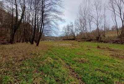 Resita, Teren Drept Intravilan, Langa Prau si Drum, Parcelab - 14