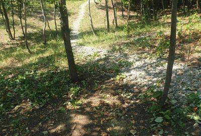 Spațiu comercial, în Valea Unghiului - 4