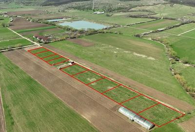 Teren Construcții intravilan de 600 mp, în Ineu - 1