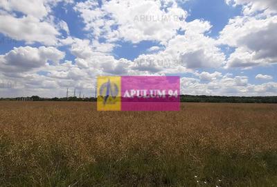 Teren Construcții intravilan de 715 mp, în Snagov - 37