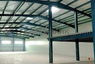 Hala de inchiriat Timisoara , zona Aradului - 4