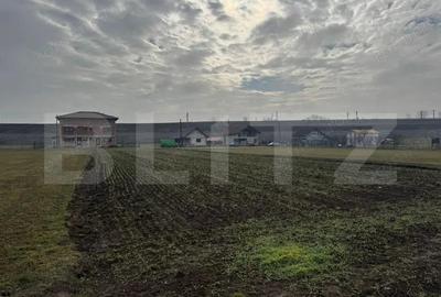 Teren de 1597 mp, în Vințu de Jos - 2