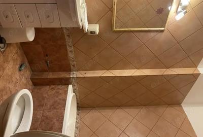 Casă cu 6 camere cu Teren 400 Mp în Floreasca - 2