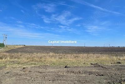 Teren extravilan cu poten?ial de dezvoltare, la sosea DN6 - 3