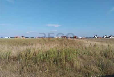 Teren de 504 mp, în Cihei