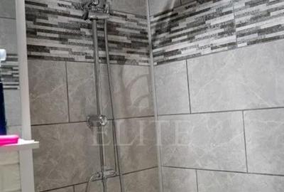 Apartament 2 camere în zona STRAZII MOGOSOAIA - 3