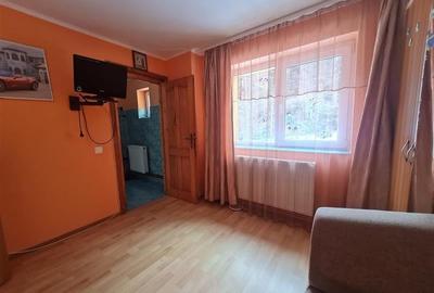 Incadrata de 4.200mp teren, Vila cu potential turistic, in inima Predealului - 29