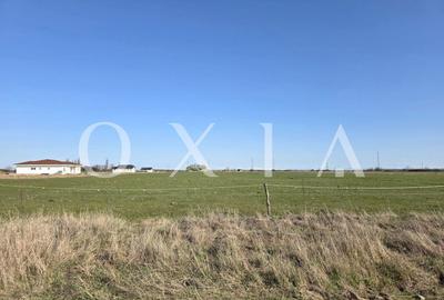 Teren Construcții intravilan de 8304 mp, în Giroc - 3