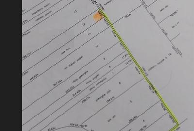 Teren agricol extravilan de 733 mp, în Brănești - 3