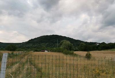 Teren de 1621 mp, în Almașu Sec - 1