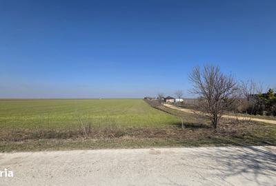 Spațiu comercial, în Corbu - 4