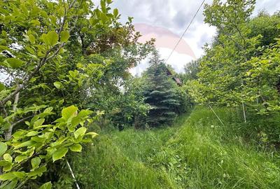 DE VANZARE - Cabana / casa vacanta in COAS - 3