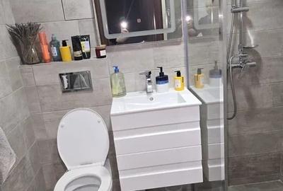 Inchiriere Apartament 3 Camere Cu Loc De Parcare Brancoveanu - 7