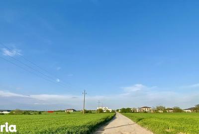 Teren de 670 mp, în Balotești
