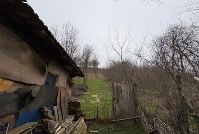 Teren Construcții intravilan de 2038 mp, în Ghercești - 12