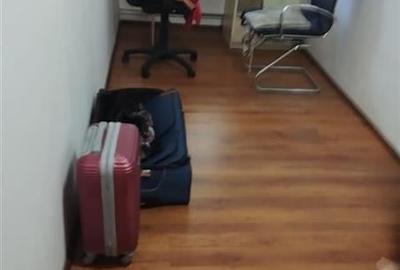 Vila in Otopeni aproape de DN1, aproape de viitorul metrou Vila in Otopeni aproape de DN1, aproape de viitorul metrou - 11