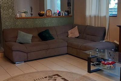 Casa deosebita 8 camere 350 mp utili OTOPENI - 3